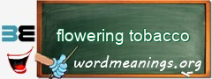 WordMeaning blackboard for flowering tobacco